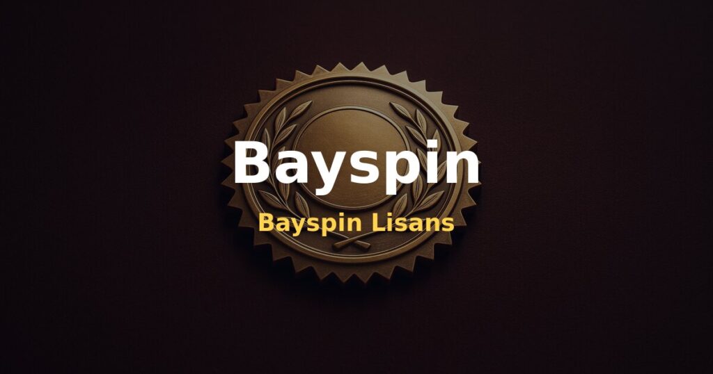 Bayspin Lisans - Bayspin